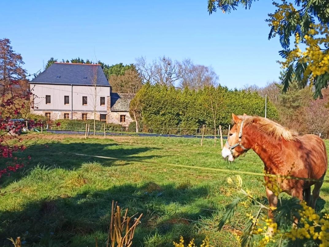 Guer Chambre D'Hote En Gite - Moulin De La Houssaie - Broceliande מראה חיצוני תמונה