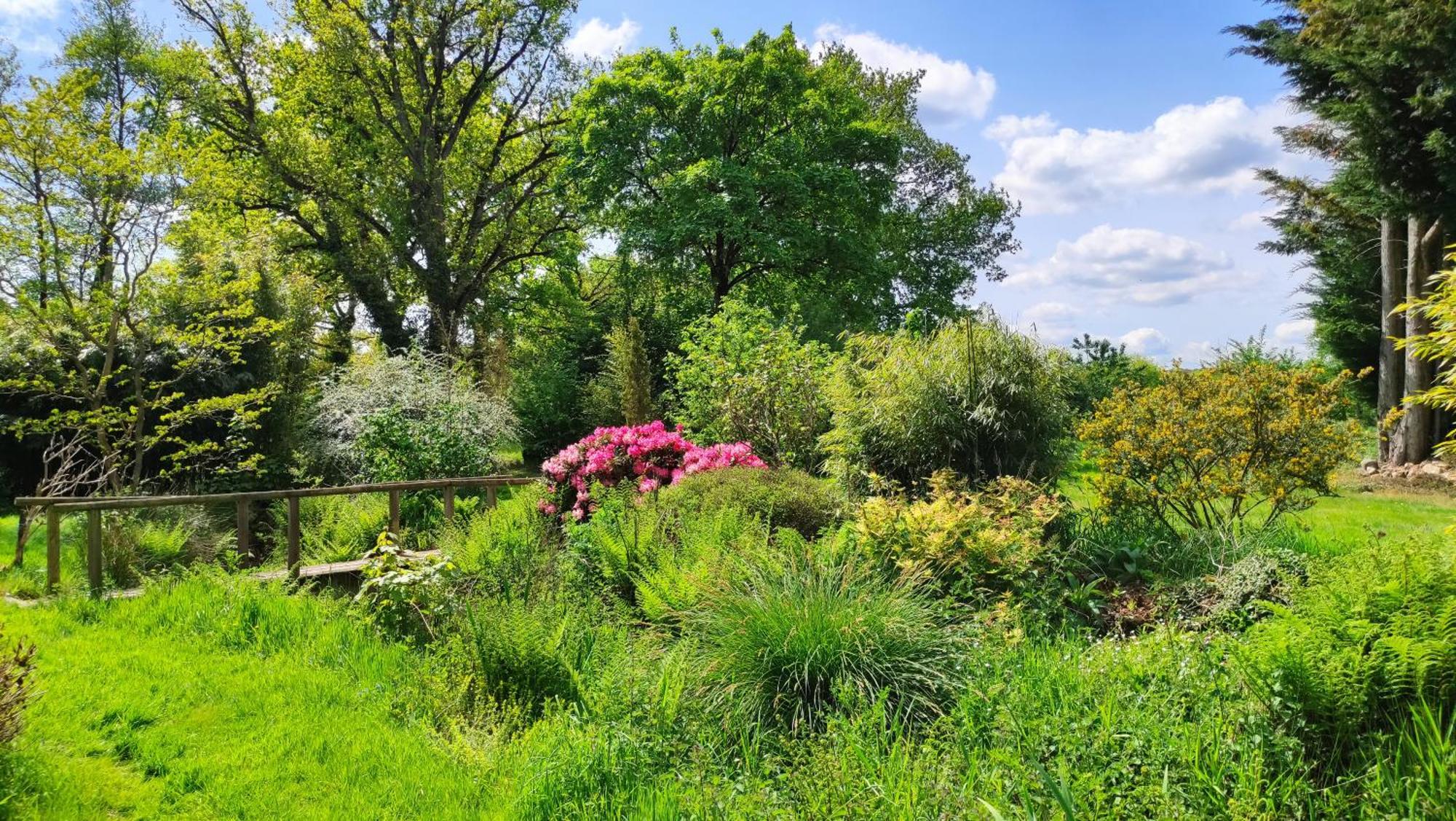 Guer Chambre D'Hote En Gite - Moulin De La Houssaie - Broceliande מראה חיצוני תמונה